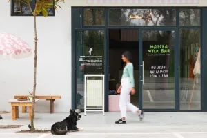 Ou boire un bon matcha à Hossegor?  